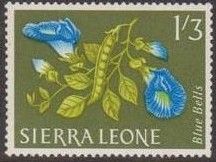 Blue Bells