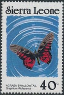 Acraea Swordtail (Graphium ridleyanus)
