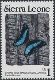 Broad Green-banded Swallowtail (Papilio bromius)