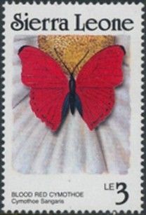Blood-red Glider (Cymothoe sangaris)