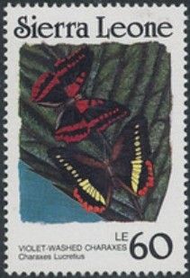 Violet-washed Charaxes (Charaxes lucretius)