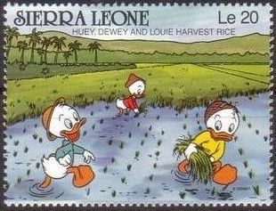 Hues, Dewey and Louie harvest rice