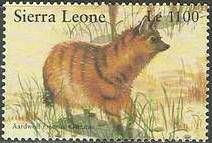 Aardwolf (Proteles cristatus)