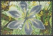 Iris albopurpurea monstrosa