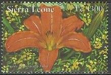 Hemerocallis fulva