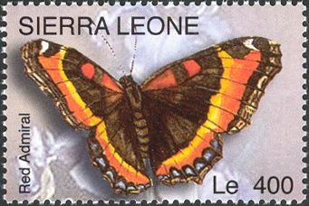 Red Admiral (Vanessa atalanta)