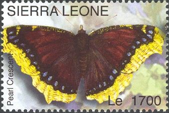Pearl Crescent (Phyciodes tharos)