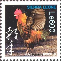 Rooster (Gallus gallus domesticus)