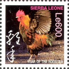 Rooster (Gallus gallus domesticus)