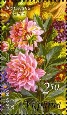 Dahlia