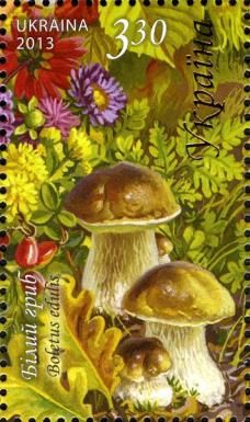 King Bolete (Boletus edulis)