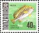 Sweetlips (Gaterin gaterinus)