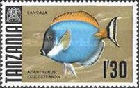 Powderblue Surgeonfish (Acanthurus leucosternon)