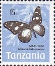 Nymphalid Butterfly (Amauris makuyuensis)
