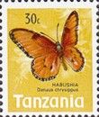 African Monarch (Danaus chrysippus)