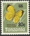 Large Grass Yellow (Eurema hecabe)