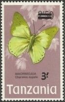 Common Green Charaxes (Charaxes eupale)