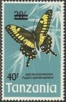 Emperor Swallowtail (Papilio ophidicephalus)