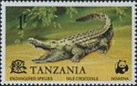 Nile Crocodile (Crocodylus niloticus)