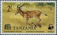 Hirola (Beatragus hunteri)