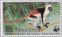 Zanzibar Red Colobus (Piliocolobus kirkii)