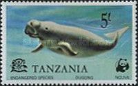 Dugong (Dugong dugon)