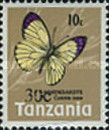 Bushveld Purple Tip (Colotis ione)