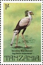 Secretarybird (Sagittarius serpentarius)