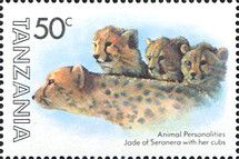 Cheetah (Acinonyx jubatus) - Jade of Seronera with Cubs