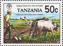 Plowing, Cattle (Bos primigenius indicus)