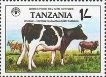 Dairy Cow (Bos primigenius taurus)