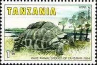 Aldabra Giant Tortoise (Aldabrachelys gigantea)