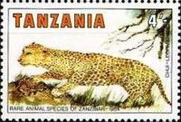 Leopard (Panthera pardus)