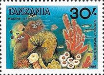 Corals