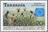 Agriculture - Cotton harvesting
