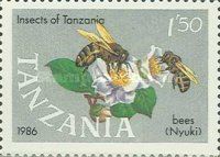 Honey Bee (Apis sp.)