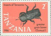Greater Grain Borer (Prostephanus truncatus)