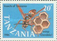 Wasp (Poliste sp.)
