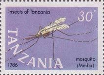 Mosquito