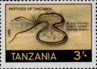 Black striped grass snake