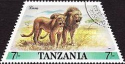 Lion (Panthera leo)