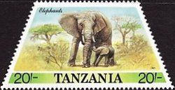 African Elephant (Loxodonta africana)