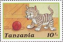 Domestic Cat (Felis silvestris catus)