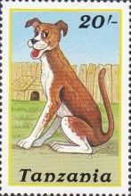 Dog (Canis lupus familiaris)