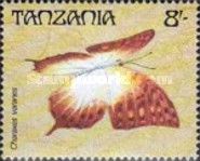 Pearl Charaxes (Charaxes varanes)