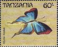 Common Fig-tree Blue (Myrina ficedula)