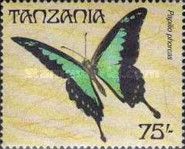 Apple-green Swallowtail (Papilio phorcas)