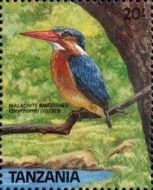 Malachite Kingfisher (Corythornis cristatus)