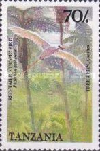 Red-billed Tropicbird (Phaethon aethereus)