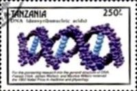 Discovery of DNA structure